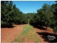 500 Duncan Road, Dunoon NSW 2480