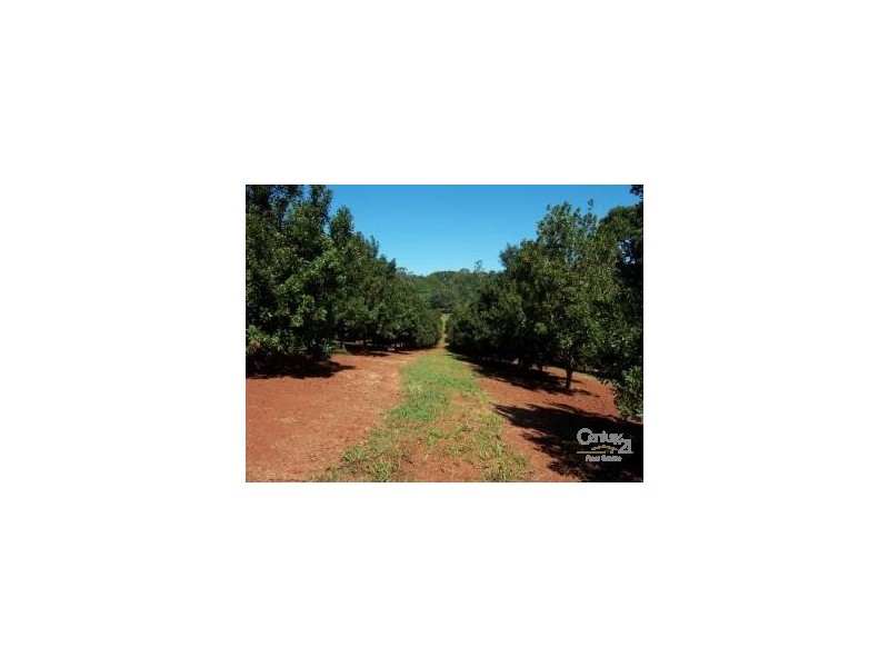 500 Duncan Road, Dunoon NSW 2480