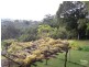 500 Duncan Road, Dunoon NSW 2480