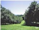 Dunoon NSW 2480