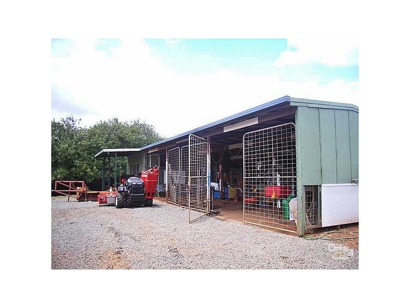 Dunoon NSW 2480