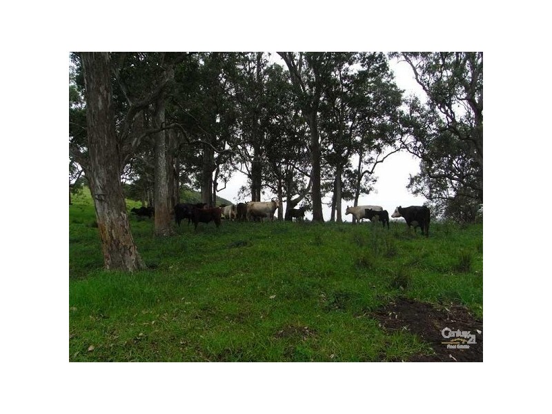 170A Lagoon Grass Road, Goonellabah NSW 2480