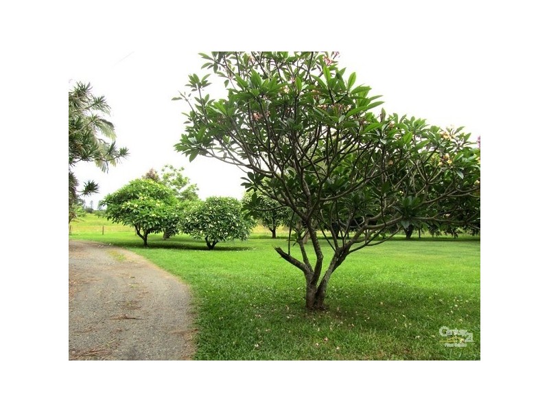 1227 Tevan Road, Alstonville NSW 2477