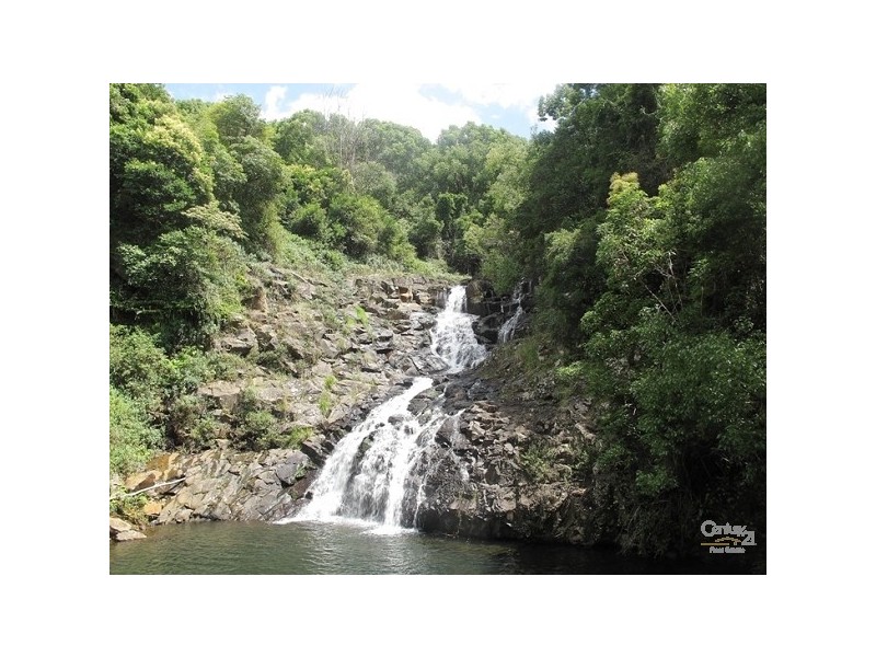 93 Victoria Park Road, Dalwood NSW 2477