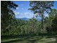 442 Mountain Top Road, Georgica NSW 2480