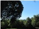 35 Cedar Drive, Dunoon NSW 2480
