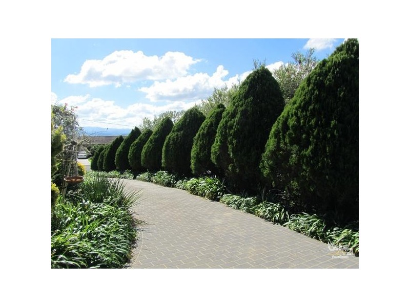 10 Roder Place, Richmond Hill NSW 2480