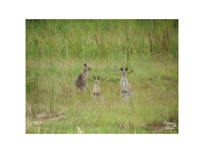 Spring Grove NSW 2470