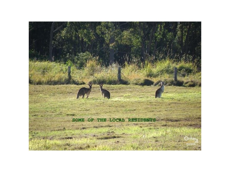 Spring Grove NSW 2470