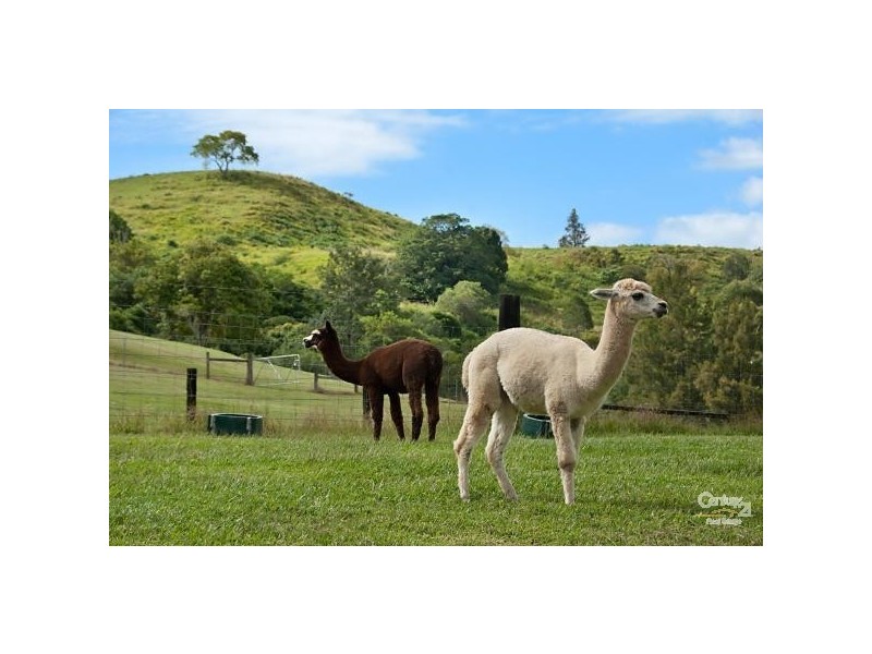 120 McLennan Road, Georgica NSW 2480