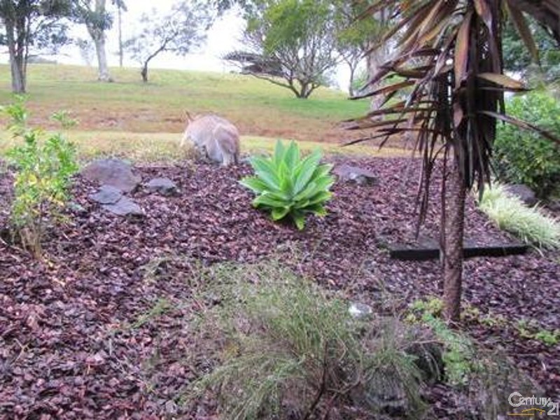 120 McLennan Road, Georgica NSW 2480