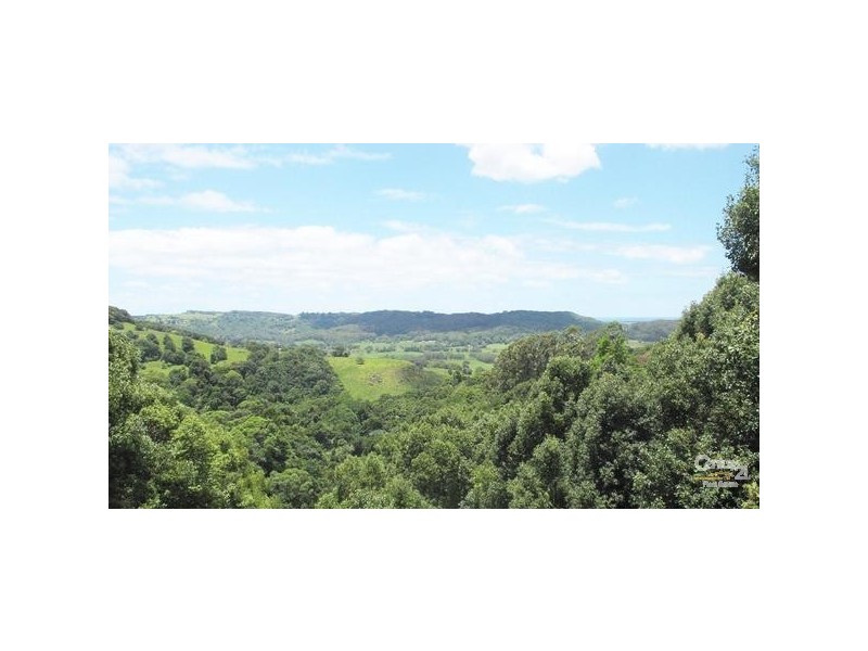 93 Victoria Park Road, Dalwood NSW 2477