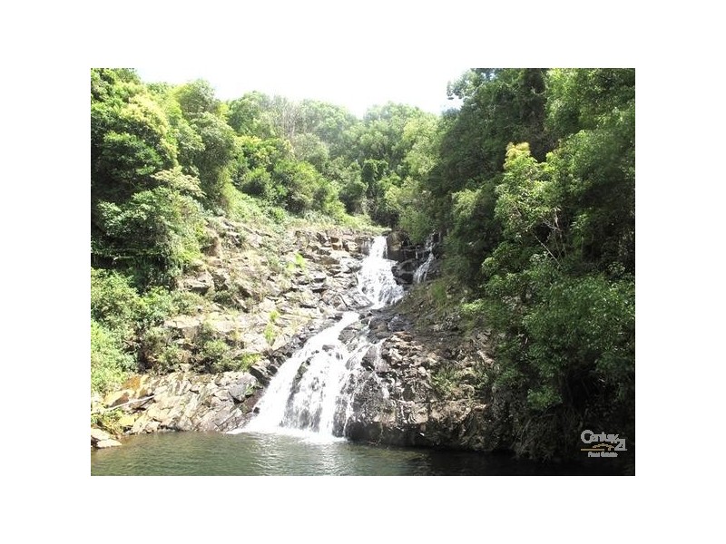 93 Victoria Park Road, Dalwood NSW 2477