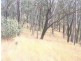 Tabulam NSW 2469