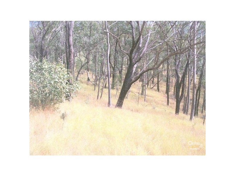 Tabulam NSW 2469