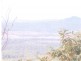Tabulam NSW 2469