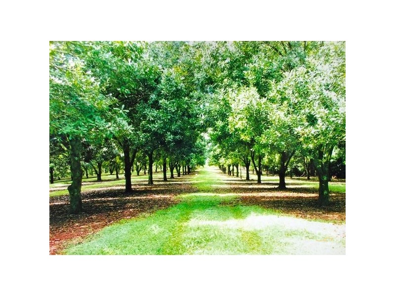 3 East Road, Dunoon NSW 2480