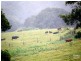 Whian Whian NSW 2480