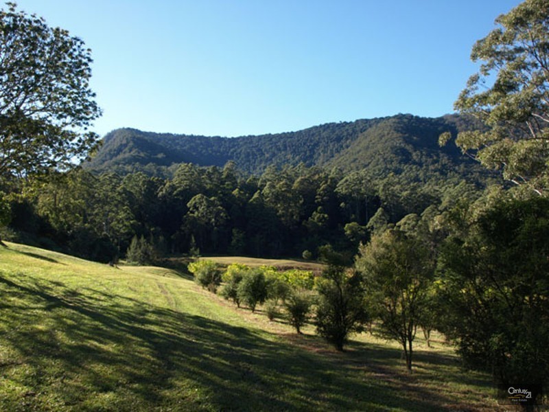 Blue Knob NSW 2480