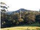 Blue Knob NSW 2480
