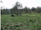 Bentley NSW 2480