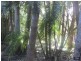 18 Hills Road, Rileys Hill NSW 2472