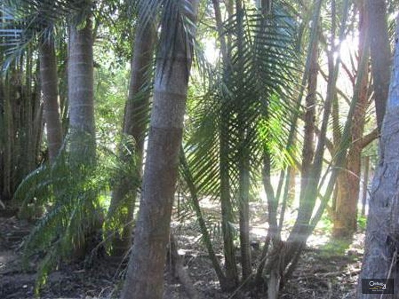 18 Hills Road, Rileys Hill NSW 2472