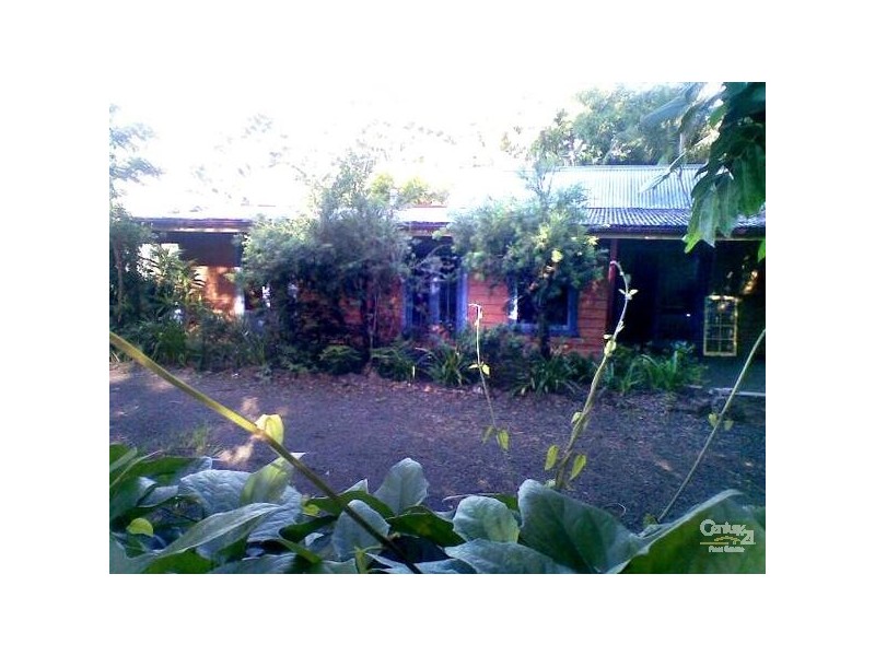 551 Cowlong Road, Mcleans Ridges NSW 2480