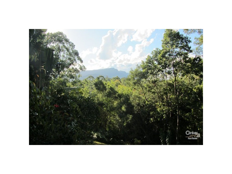 9 Robb Road, Lillian Rock NSW 2480