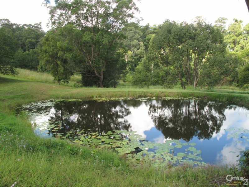 88 Cullen Road, Nimbin NSW 2480