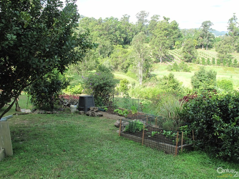 88 Cullen Road, Nimbin NSW 2480