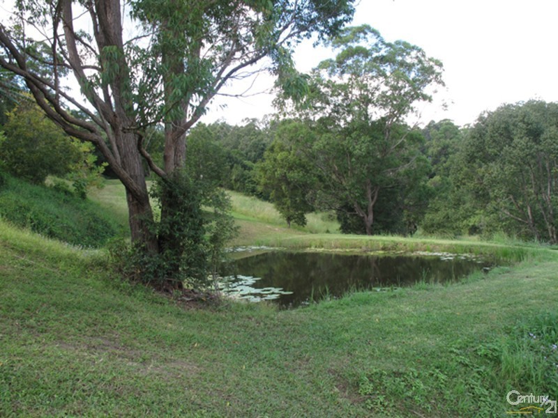 88 Cullen Road, Nimbin NSW 2480