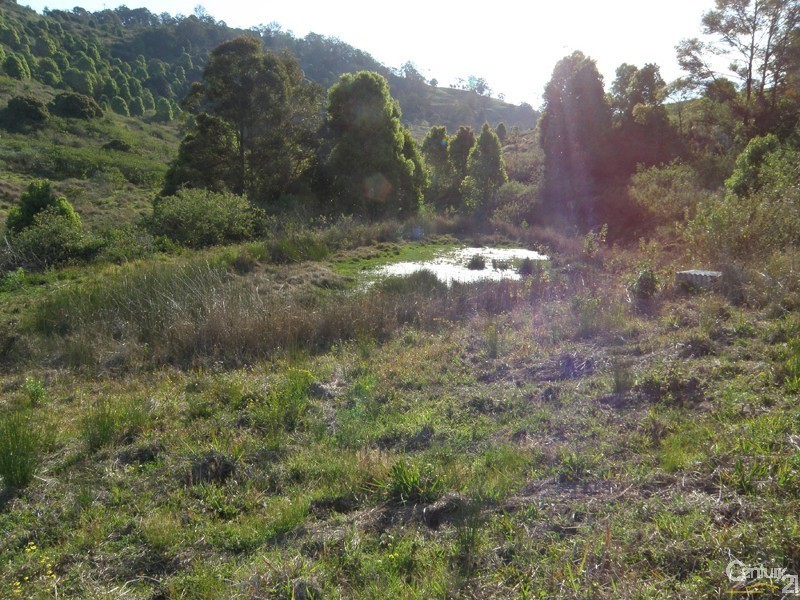 31 Arkinstall Road, The Channon NSW 2480