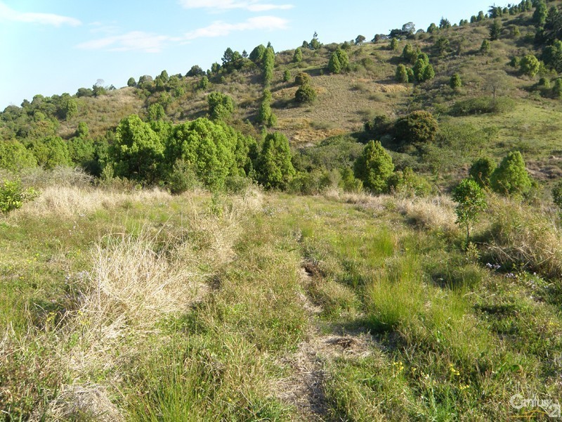 31 Arkinstall Road, The Channon NSW 2480