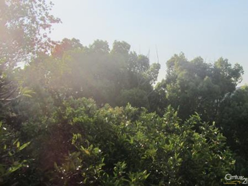 42 42A High Street, Lismore Heights NSW 2480