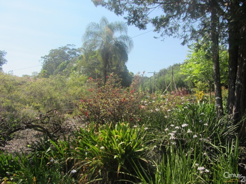 1166 Dunoon Road, Modanville NSW 2480