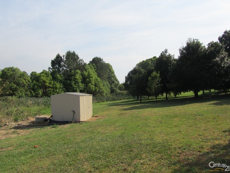 167 McLeans Ridges Road, Mcleans Ridges NSW 2480