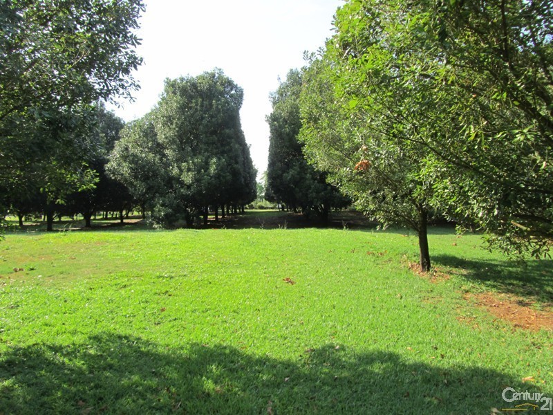 167 McLeans Ridges Road, Mcleans Ridges NSW 2480