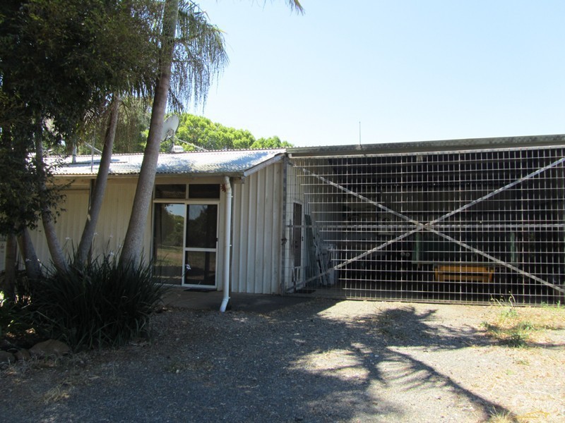 167 McLeans Ridges Road, Mcleans Ridges NSW 2480