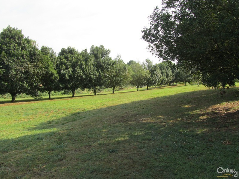 167 McLeans Ridges Road, Mcleans Ridges NSW 2480