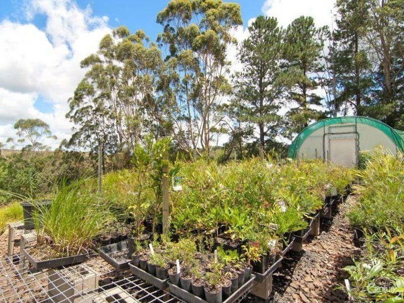 412 Whian Whian Road, Whian Whian NSW 2480