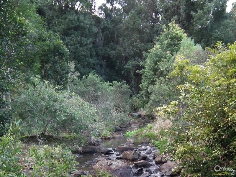 412 Whian Whian Road, Whian Whian NSW 2480