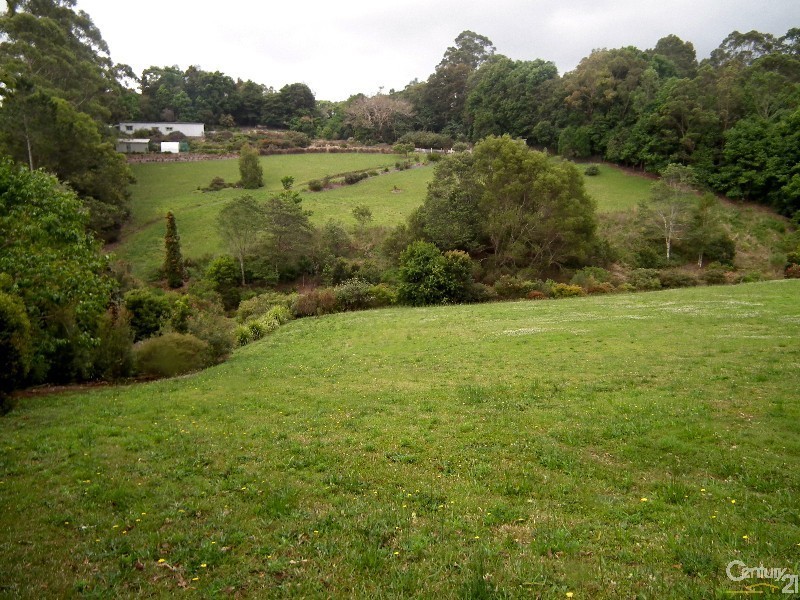 412 Whian Whian Road, Whian Whian NSW 2480