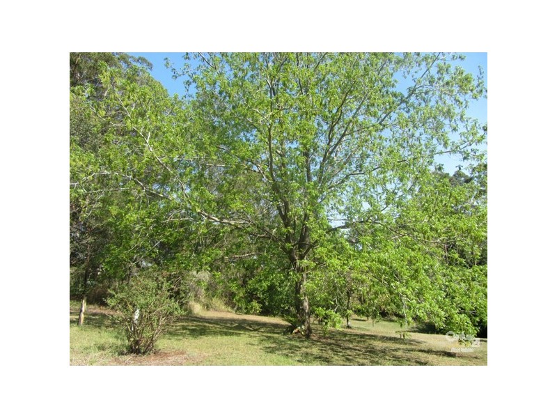 1166 Dunoon Road, Modanville NSW 2480