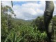 Lot 5 10 Robb Road, Lillian Rock NSW 2480
