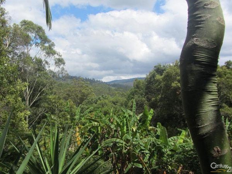 Lot 5 10 Robb Road, Lillian Rock NSW 2480