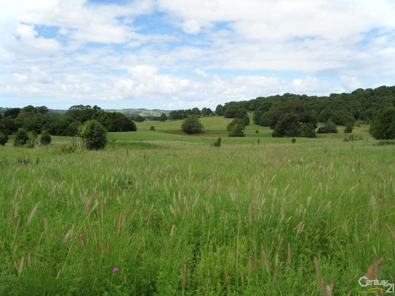 1545 Bangalow Road, Clunes NSW 2480