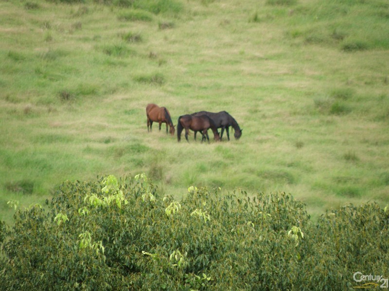 122 Pooles Road, Ruthven NSW 2480