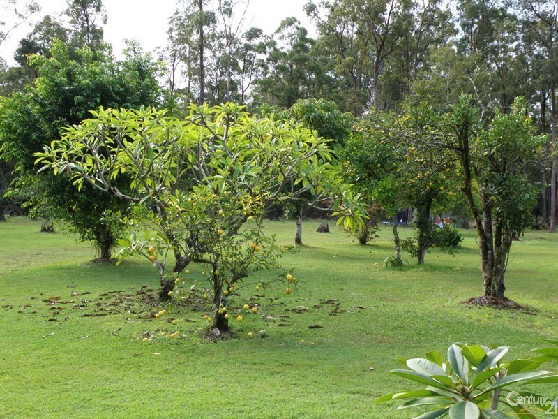 2465 Myall Creek Road, Bungawalbin NSW 2469