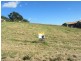 Lot 355 Joy Street, Goonellabah NSW 2480